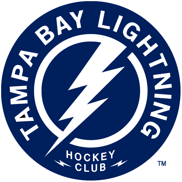 Tampa Bay Lightning 2011-Pres Alternate Logo iron on heat transfer